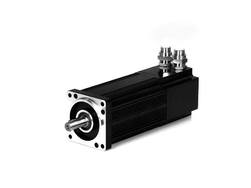 Special customized motor